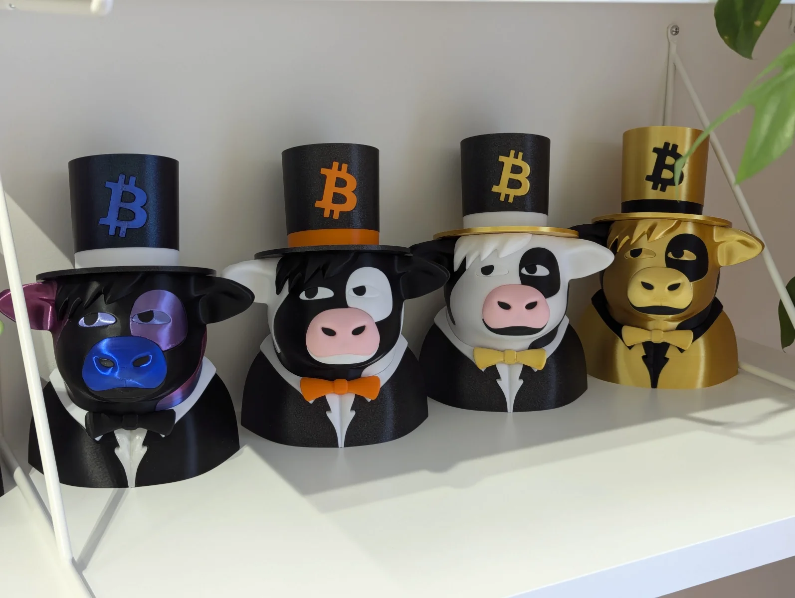 Gentleman Cow — PXL 20241103 100341455 comp