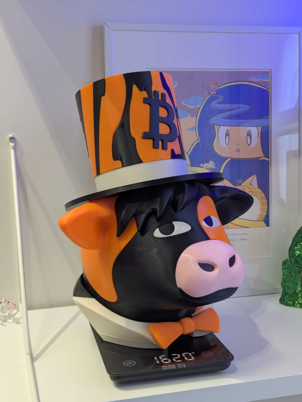 XXL Tuxedo Cow — PXL 20250112 113557996