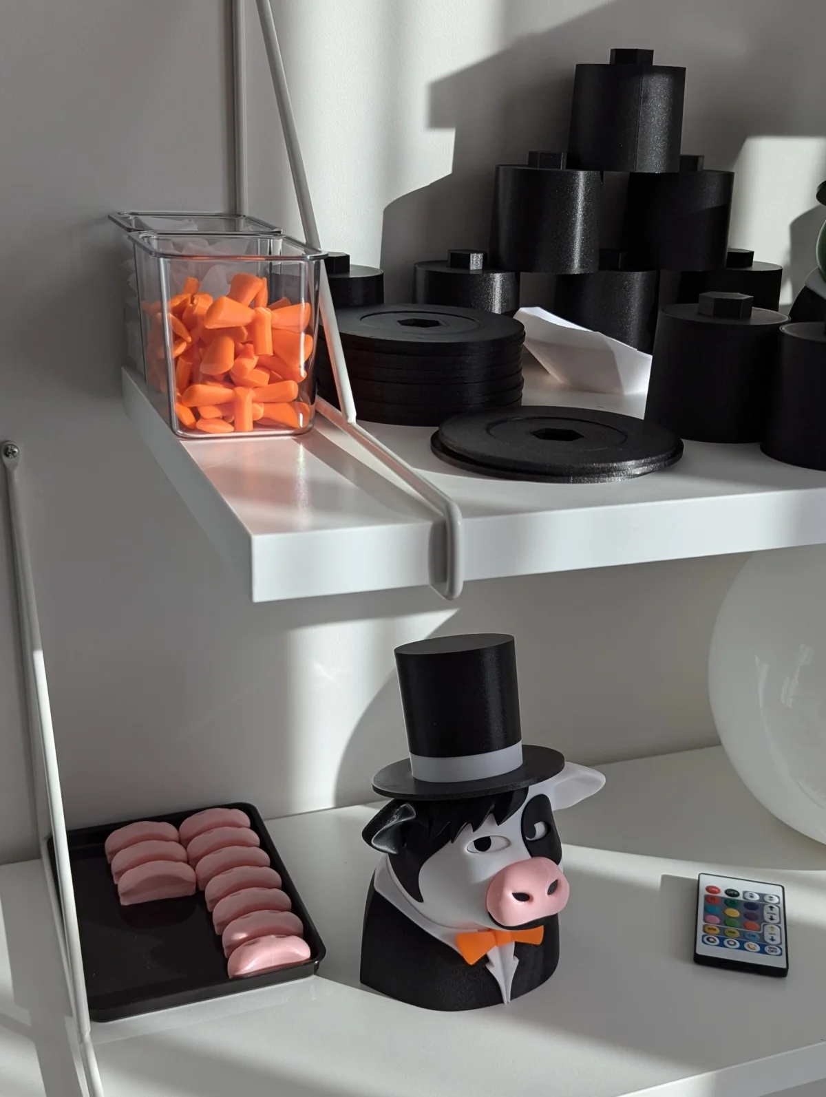 Gentleman Cow — PXL 20241017 124840101 comp