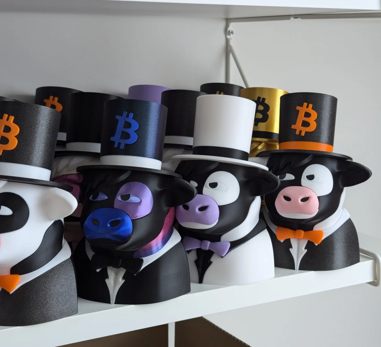 Gentleman Cow — PXL 20241031 112630538 comp